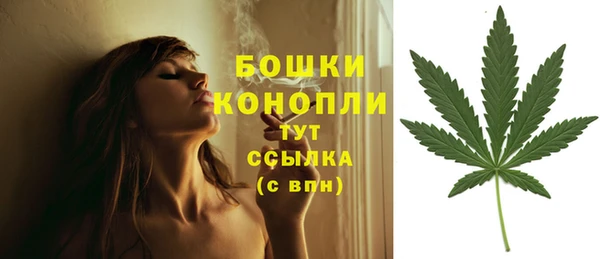 спайс Белокуриха